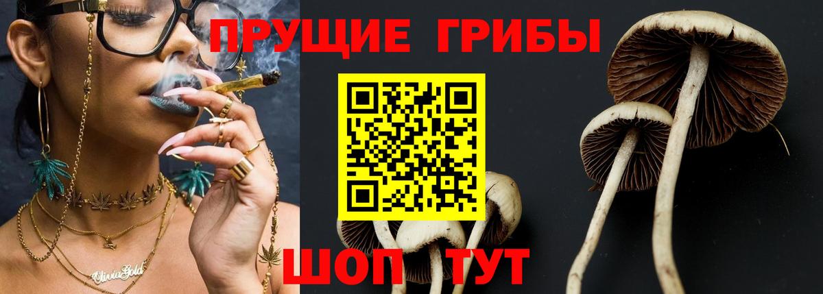Ржев  Галлюциногенные грибы прущие грибы  Галлюциногенные грибы GOLDEN TEACHER  Вход с VPN 